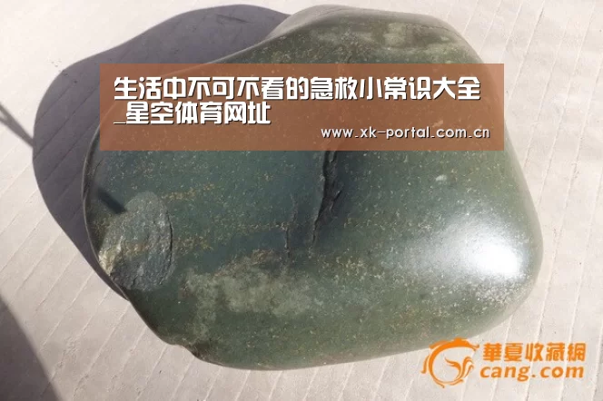 星空体育网址