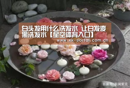 星空体育娱乐平台